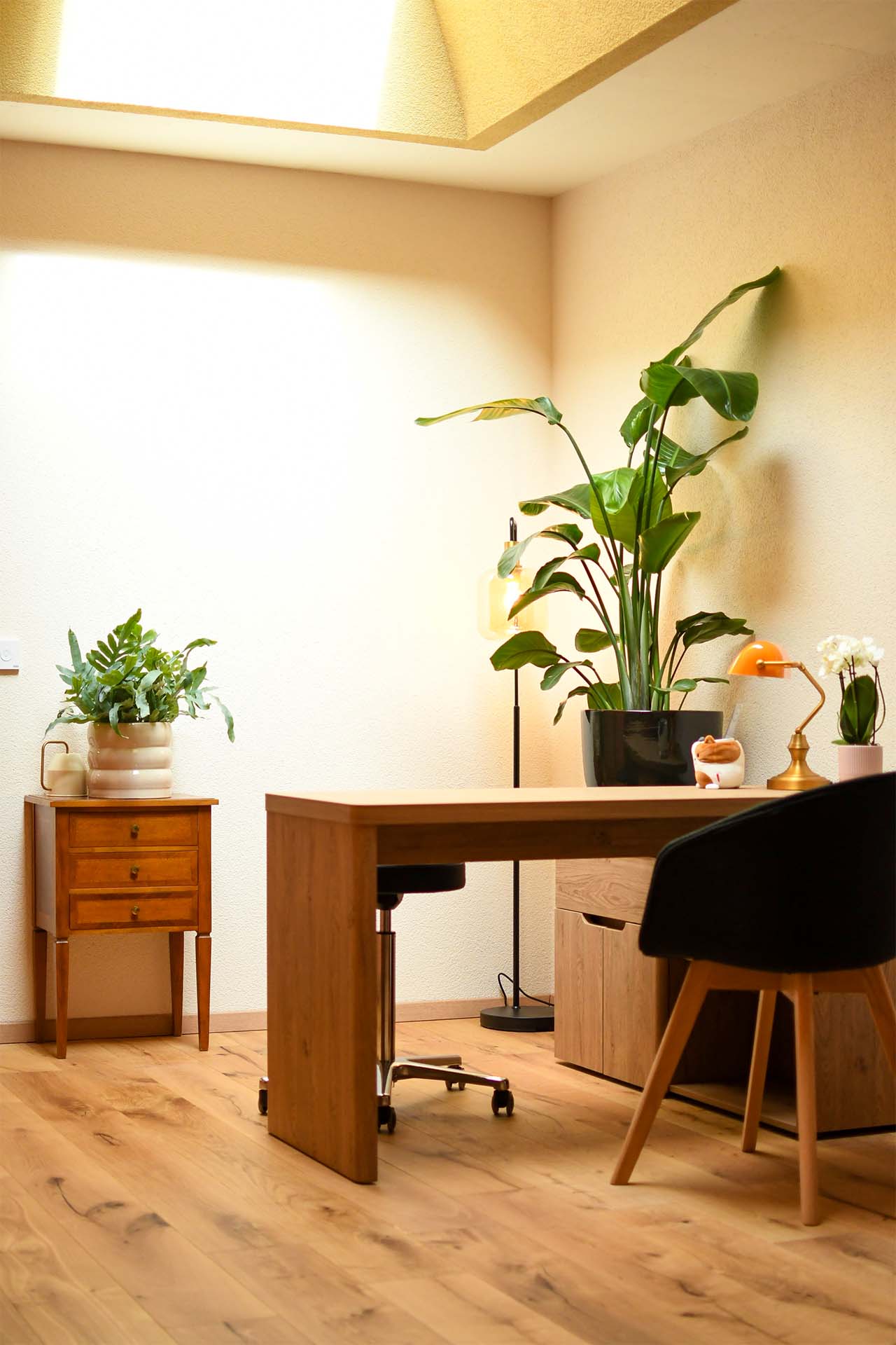 Beratungsraum Studio-Kraft, Physiotherapie in Kilchberg